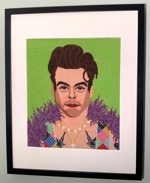 Harry Styles Tapestry Kit - Appletons