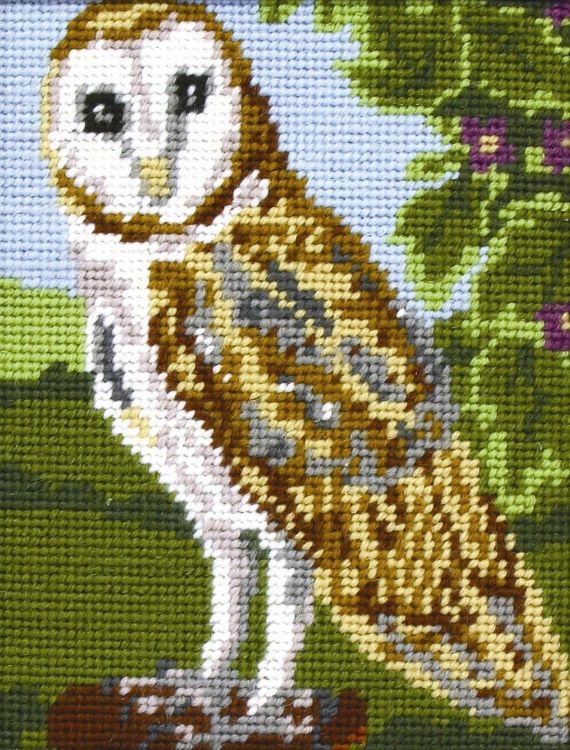 Owl Tapestry Kit - Anchor MR925