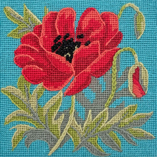 Mini Poppy on Turquoise Tapestry Kit, Needlepoint Kit - Glorafilia