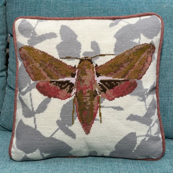 Elephant Hawk Moth Tapestry Kit - Cleopatra's Needle