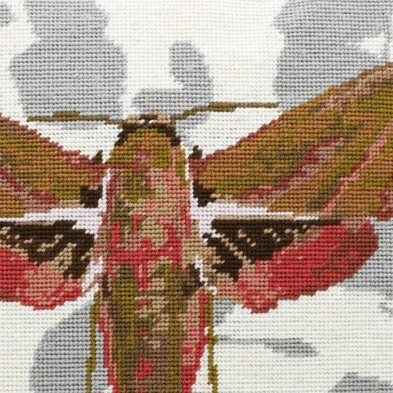 Elephant Hawk Moth Tapestry Kit - Cleopatra's Needle