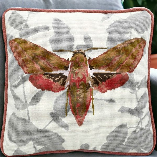 Elephant Hawk Moth Tapestry Kit - Cleopatra's Needle