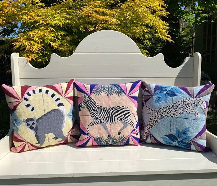 Zebra Tapestry Kit, Vibrant Wild Things - Appletons (12 holes per inch)