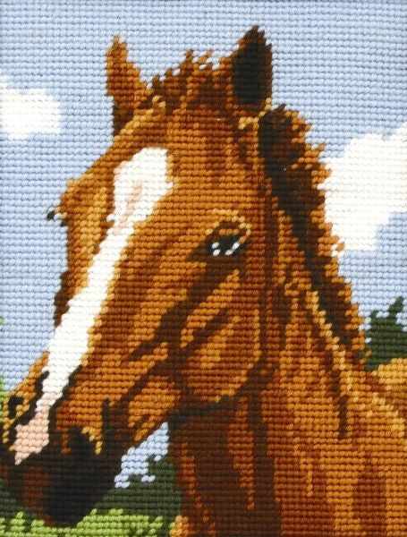 Brown Horse Tapestry Kit - Anchor MR929