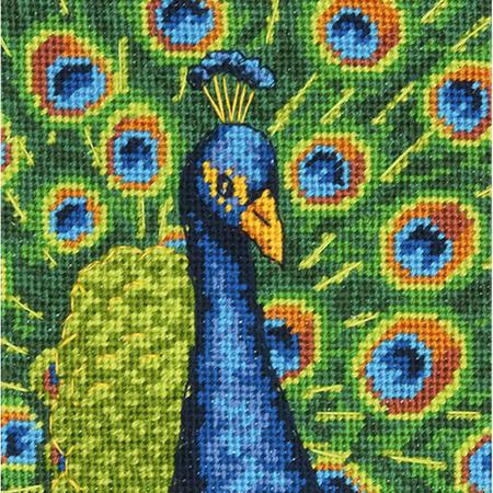 Colourful Peacock Needlepoint Tapestry Kit - Dimensions D71-07242