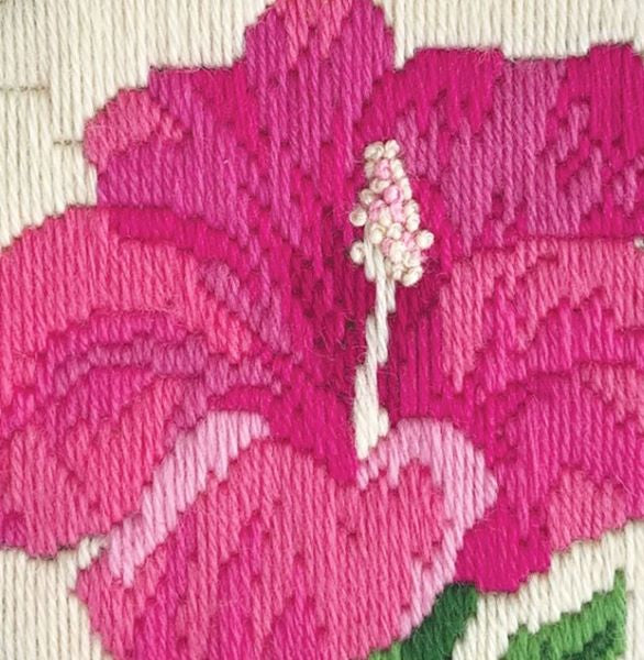 Hibiscus Blush Long Stitch Kit - Needleart World