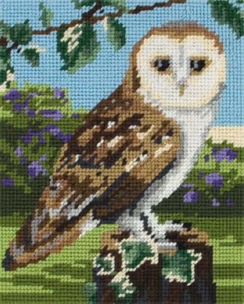 Owl Tapestry Kit - Anchor MR951