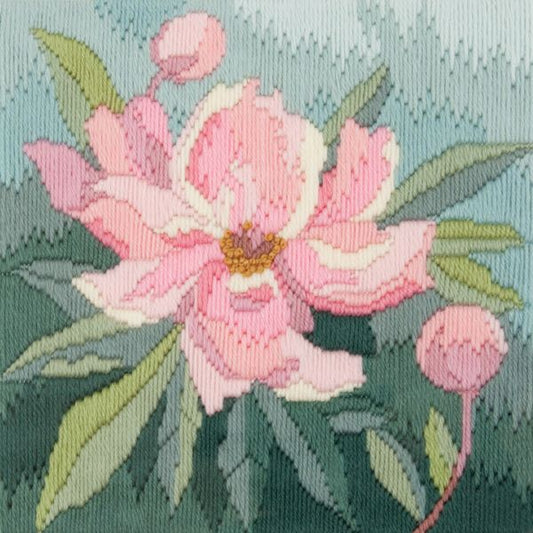 Peony Long Stitch Kit - Derwentwater Designs