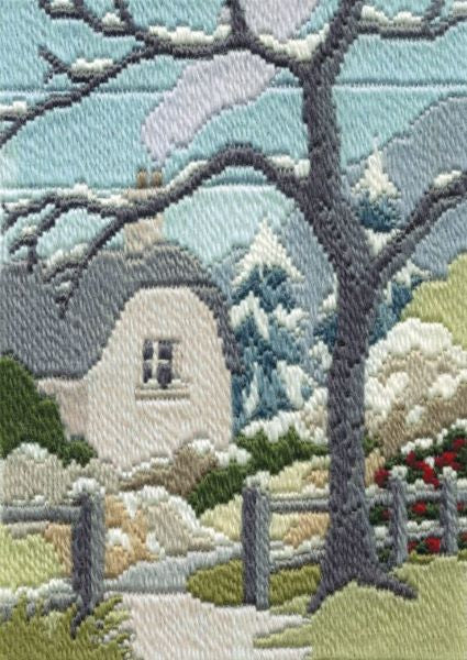 Winter Garden Long Stitch Kit - Derwentwater Designs MLS20 – Tapestry ...